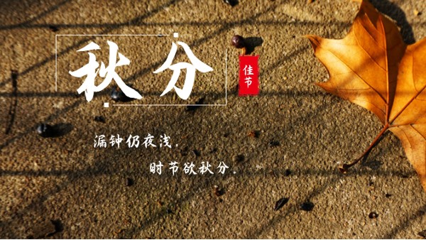 樓上樓門窗 | 白露秋分夜,一夜冷一夜，高端門窗安排上！